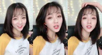 网红黑料是什么意思,网络舆论背后的真相与反思